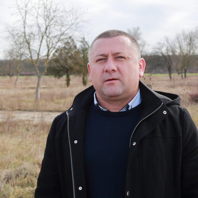 Damir Dekanić