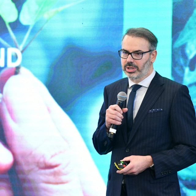 Dinko Lucić