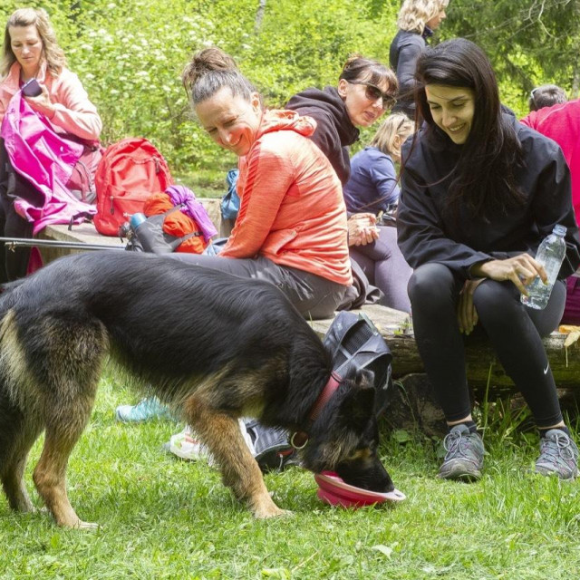 Posjetitelji vole Brdo knjiga  i zato što je to festival krajnje opuštene atmosfere. ”... neke, da je tako nazovem, općenarodne razdraganosti.”, kaže Željko Žarak.