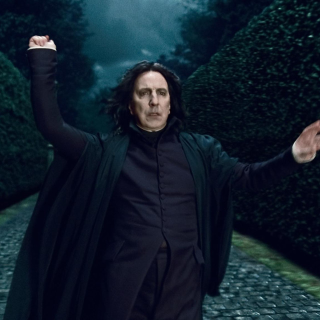Alan Rickman kao Severus Snape
