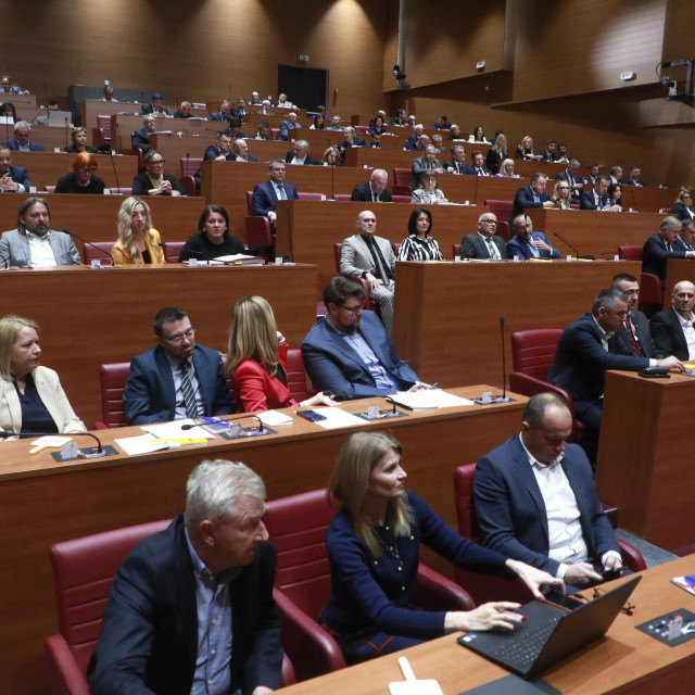 Gradonačelnicima ili načelnicima općina željelo bi postati još 15 zastupnika dok su šestero kandidati za zamjenike gradonačelnika