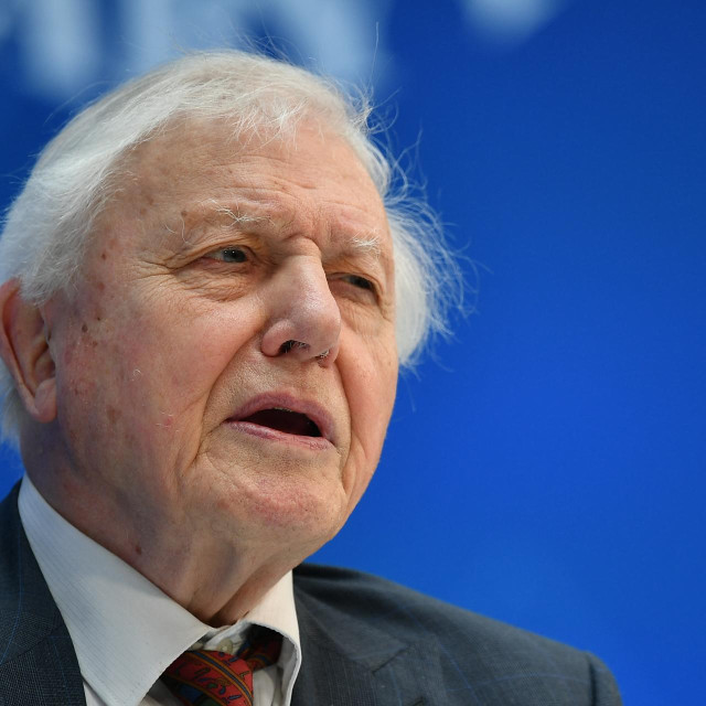 David Attenborough